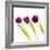 Tulip Trio I-Joseph Eta-Framed Giclee Print