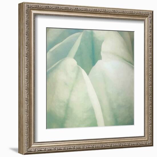 Tulip Trio II-Gabriel Scott-Framed Art Print