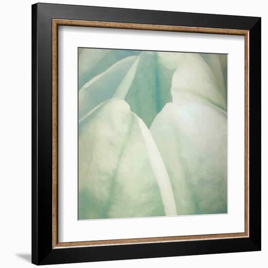 Tulip Trio II-Gabriel Scott-Framed Art Print