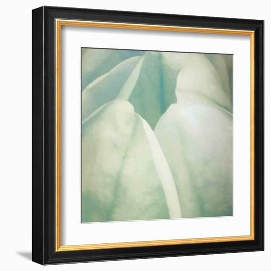 Tulip Trio II-Gabriel Scott-Framed Art Print