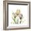 Tulip Trio-Albert Koetsier-Framed Art Print