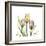 Tulip Trio-Albert Koetsier-Framed Art Print