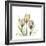 Tulip Trio-Albert Koetsier-Framed Art Print