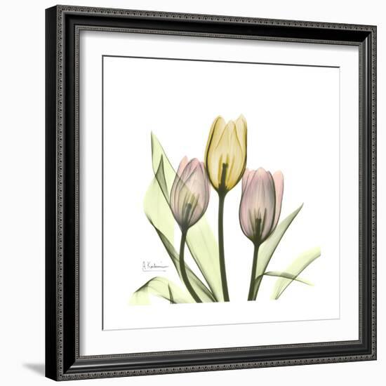 Tulip Trio-Albert Koetsier-Framed Art Print