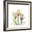 Tulip Trio-Albert Koetsier-Framed Art Print