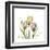 Tulip Trio-Albert Koetsier-Framed Art Print