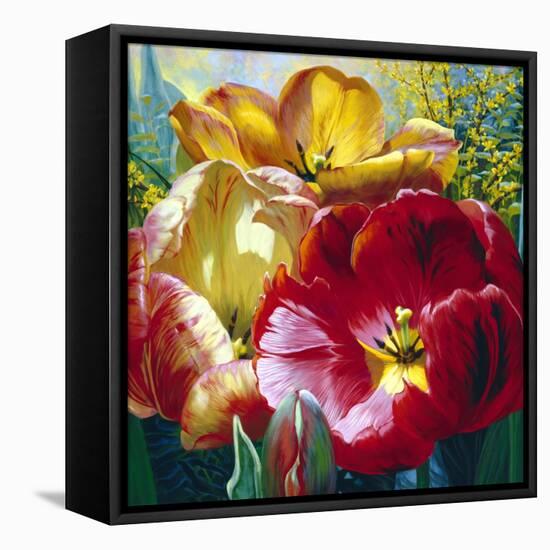 Tulip Trio-Elizabeth Horning-Framed Premier Image Canvas