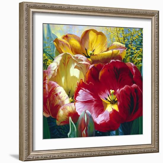Tulip Trio-Elizabeth Horning-Framed Giclee Print