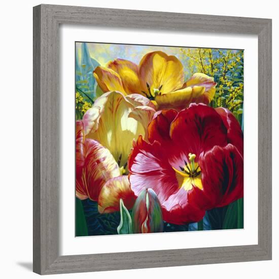 Tulip Trio-Elizabeth Horning-Framed Giclee Print