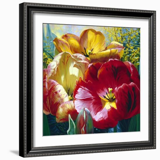 Tulip Trio-Elizabeth Horning-Framed Giclee Print