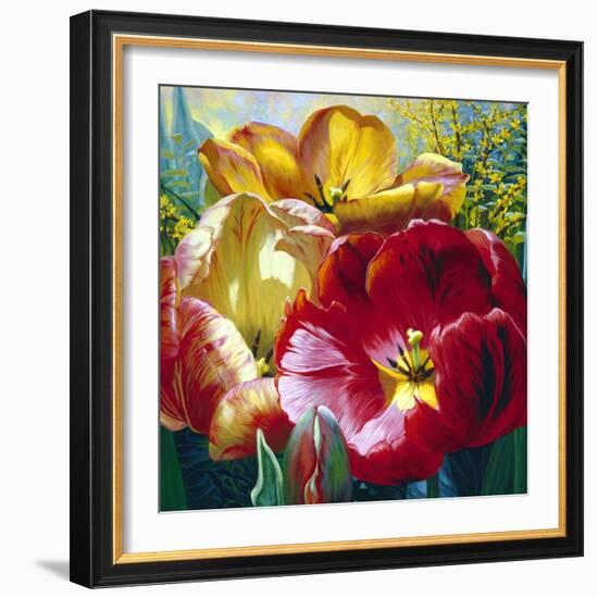 Tulip Trio-Elizabeth Horning-Framed Giclee Print