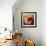 Tulip Trio-Elizabeth Horning-Framed Premium Giclee Print displayed on a wall