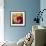 Tulip Trio-Elizabeth Horning-Framed Premium Giclee Print displayed on a wall