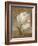 Tulip Waltz III-Lisa Audit-Framed Giclee Print