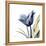 Tulip Whisper-Albert Koetsier-Framed Stretched Canvas