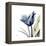 Tulip Whisper-Albert Koetsier-Framed Stretched Canvas