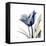 Tulip Whisper-Albert Koetsier-Framed Stretched Canvas