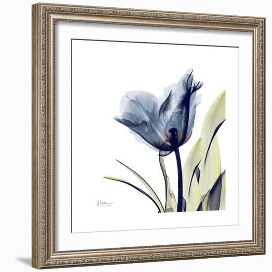 Tulip Whisper-Albert Koetsier-Framed Art Print