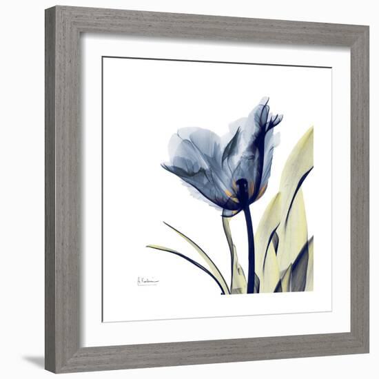 Tulip Whisper-Albert Koetsier-Framed Art Print