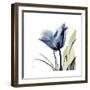 Tulip Whisper-Albert Koetsier-Framed Art Print