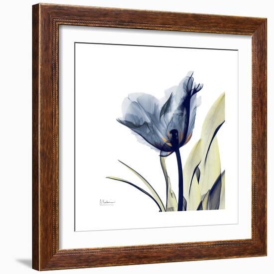 Tulip Whisper-Albert Koetsier-Framed Art Print