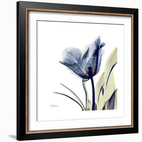 Tulip Whisper-Albert Koetsier-Framed Art Print