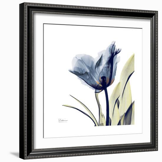 Tulip Whisper-Albert Koetsier-Framed Art Print