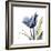 Tulip Whisper-Albert Koetsier-Framed Art Print