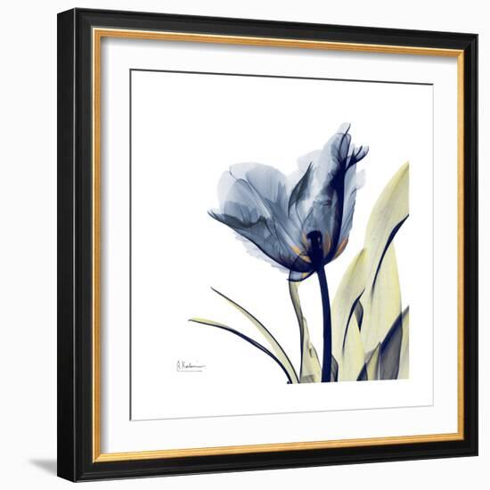 Tulip Whisper-Albert Koetsier-Framed Art Print