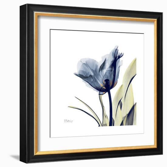 Tulip Whisper-Albert Koetsier-Framed Art Print