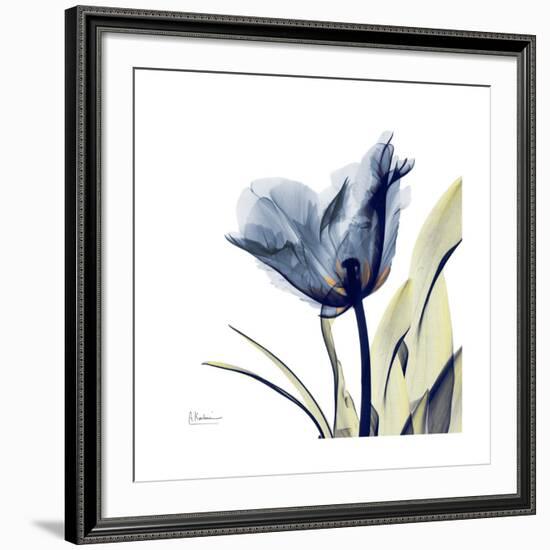 Tulip Whisper-Albert Koetsier-Framed Giclee Print