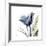 Tulip Whisper-Albert Koetsier-Framed Giclee Print