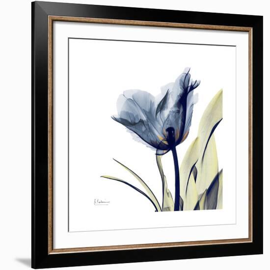Tulip Whisper-Albert Koetsier-Framed Giclee Print