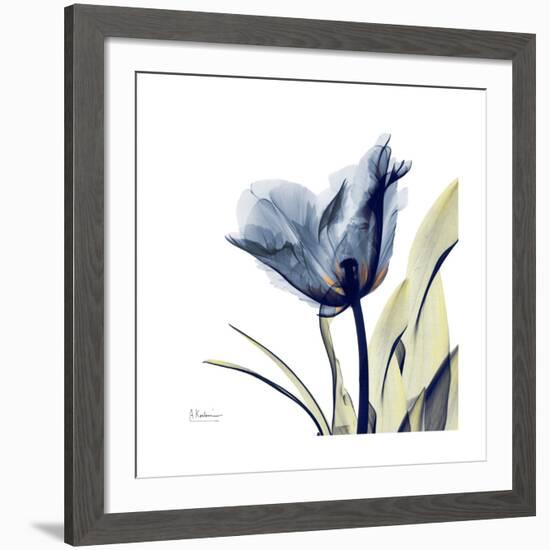 Tulip Whisper-Albert Koetsier-Framed Giclee Print