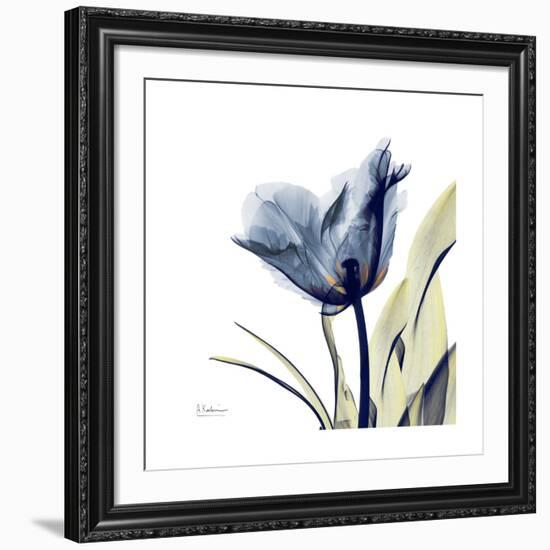 Tulip Whisper-Albert Koetsier-Framed Giclee Print