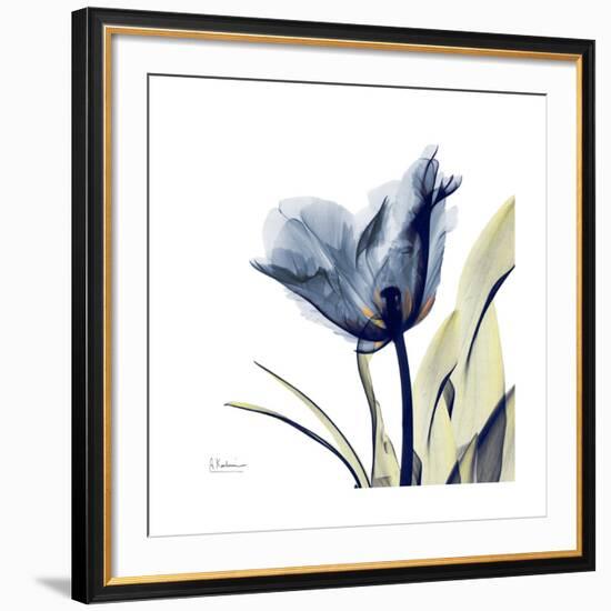 Tulip Whisper-Albert Koetsier-Framed Giclee Print