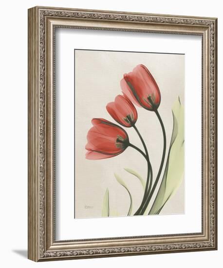 Tulip Whisper-Albert Koetsier-Framed Art Print