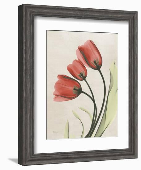 Tulip Whisper-Albert Koetsier-Framed Art Print