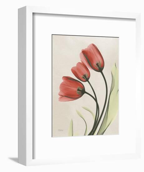 Tulip Whisper-Albert Koetsier-Framed Art Print