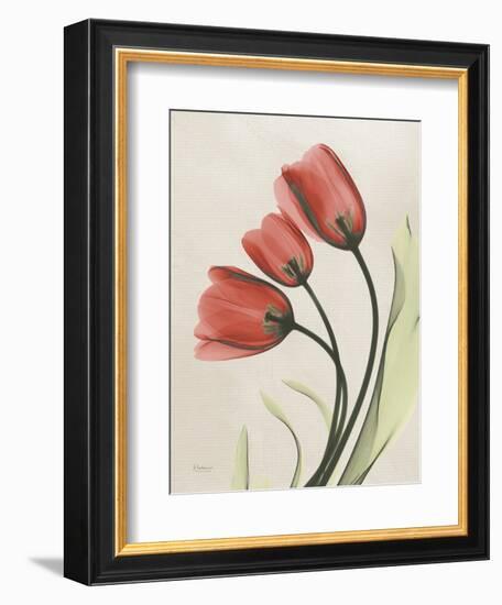 Tulip Whisper-Albert Koetsier-Framed Art Print