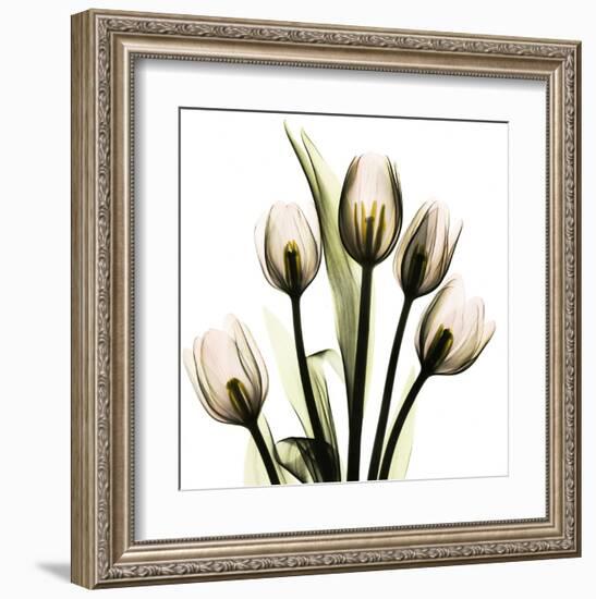 Tulip With Green-Albert Koetsier-Framed Art Print