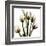 Tulip With Green-Albert Koetsier-Framed Art Print