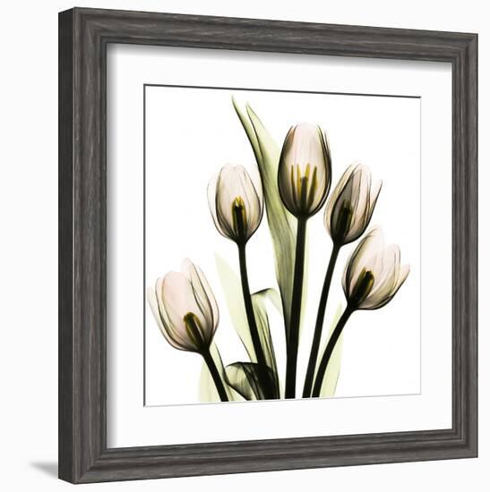 Tulip With Green-Albert Koetsier-Framed Art Print