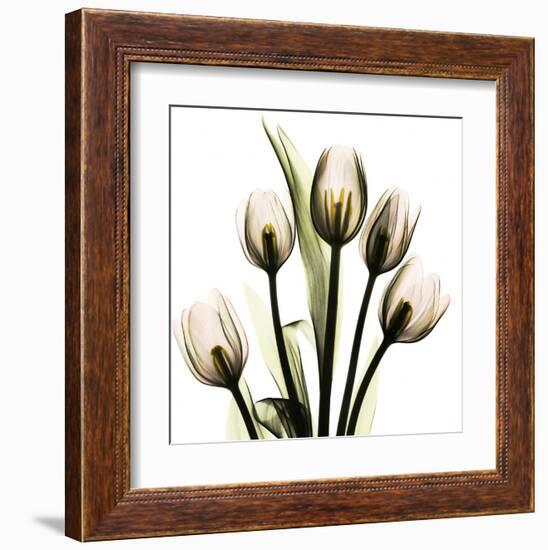 Tulip With Green-Albert Koetsier-Framed Art Print