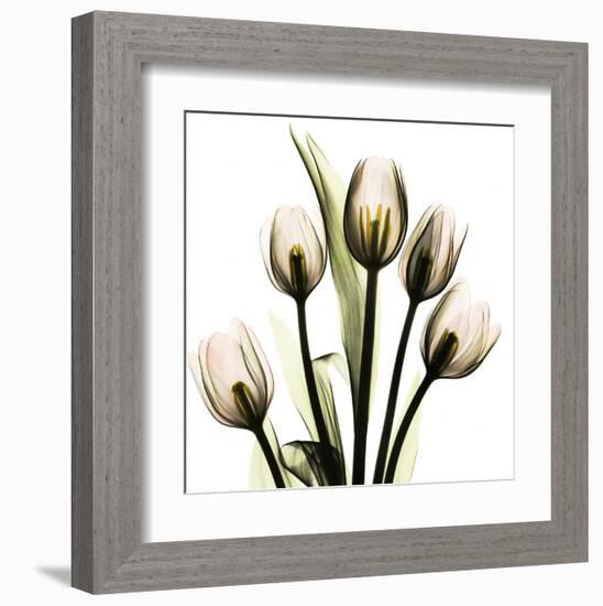 Tulip With Green-Albert Koetsier-Framed Art Print