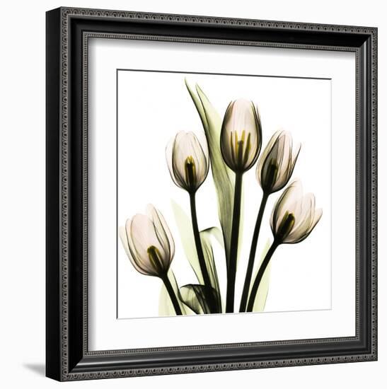 Tulip With Green-Albert Koetsier-Framed Art Print