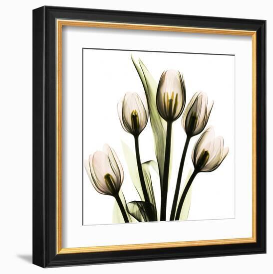 Tulip With Green-Albert Koetsier-Framed Art Print
