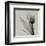 Tulip-Marianne Haas-Framed Art Print