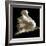 Tulip-Michael Harrison-Framed Giclee Print