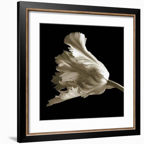 Tulip-Michael Harrison-Framed Giclee Print